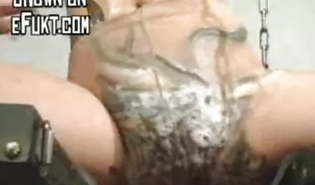Грейси едет на своём